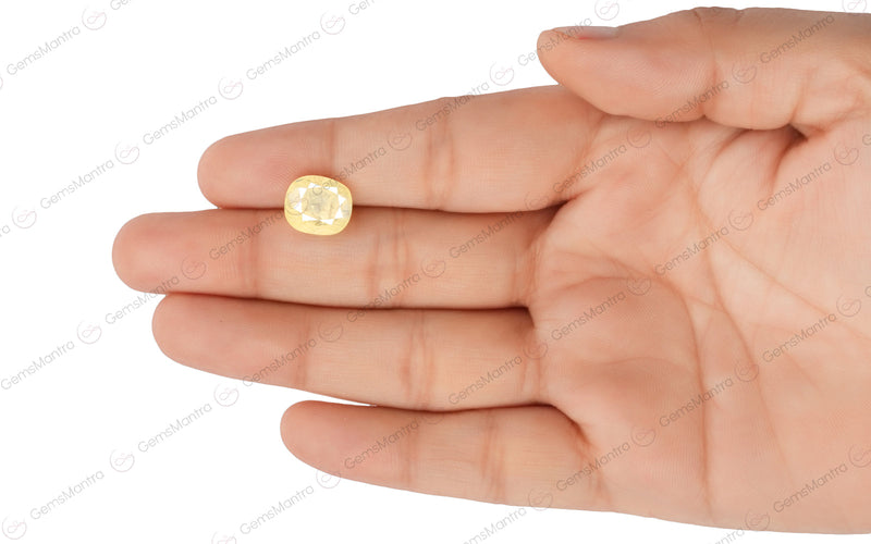 Yellow Sapphire - 6.05 Carats