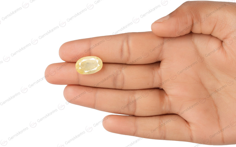 Yellow Sapphire - 13.25 Carats