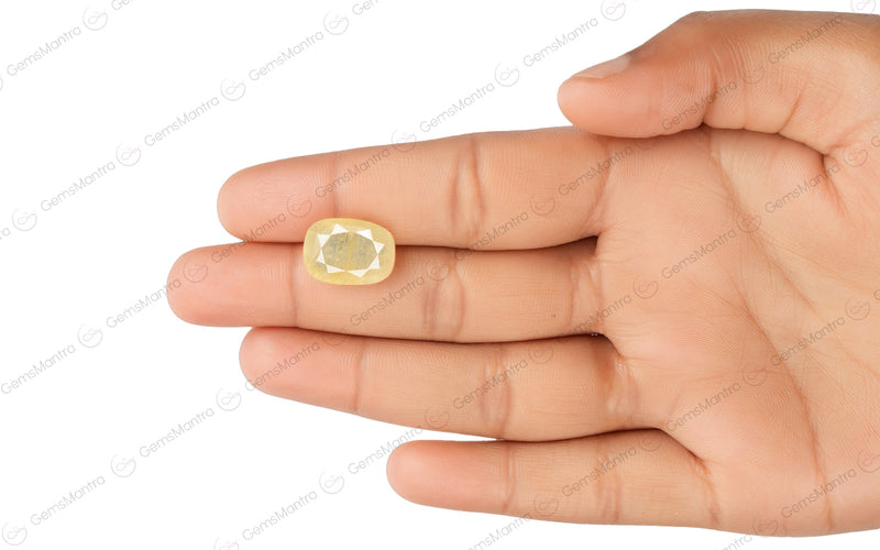 Yellow Sapphire - 13.13 Carats