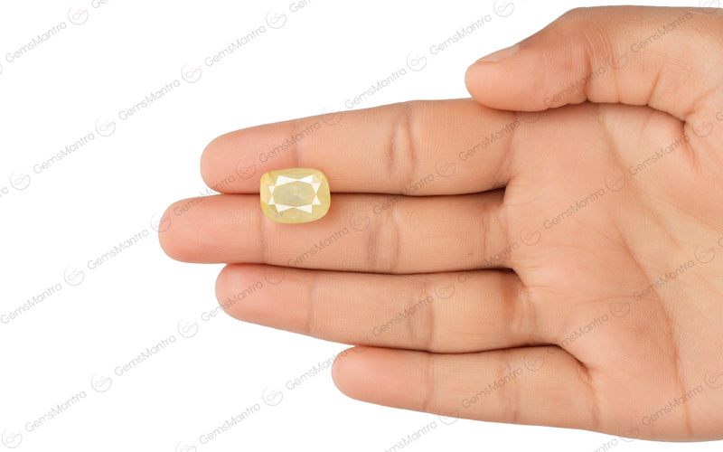 Yellow Sapphire - 12.8 Carats