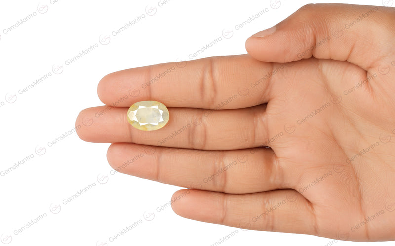 Yellow Sapphire - 10.09 Carats