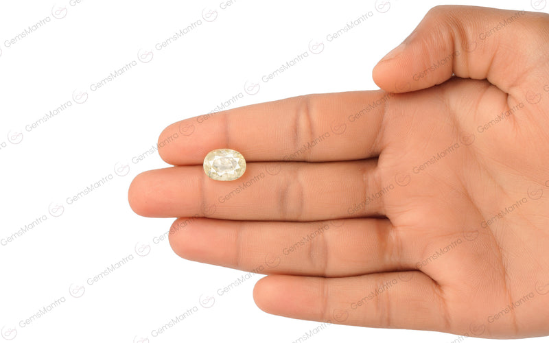 Yellow Sapphire - 7.12 Carats