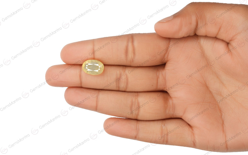 Yellow Sapphire - 6.94 Carats