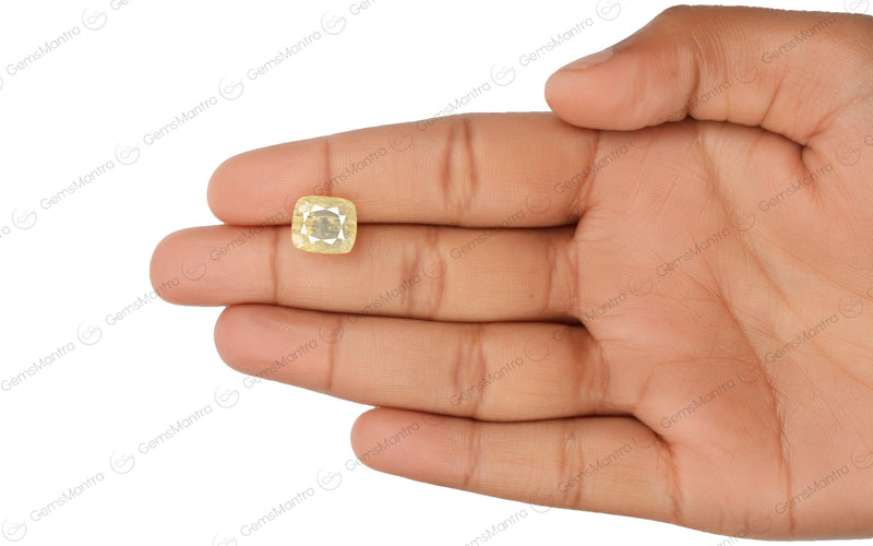Yellow Sapphire - 7.55 Carats