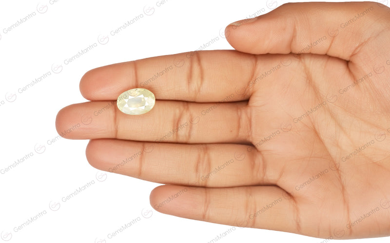 Yellow Sapphire - 9.83 Carats