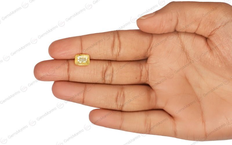 Yellow Sapphire - 3.04 Carats