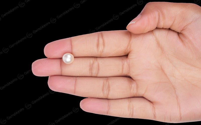 South Sea Pearl - 4.54 Carats