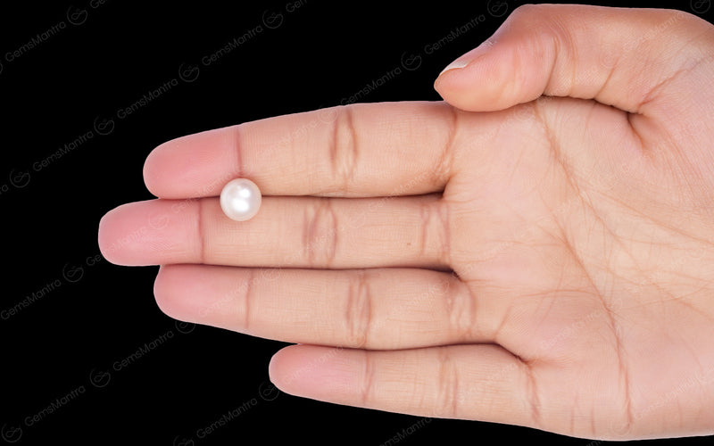 South Sea Pearl - 4.84 Carats