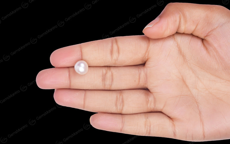 South Sea Pearl - 5.66 Carats