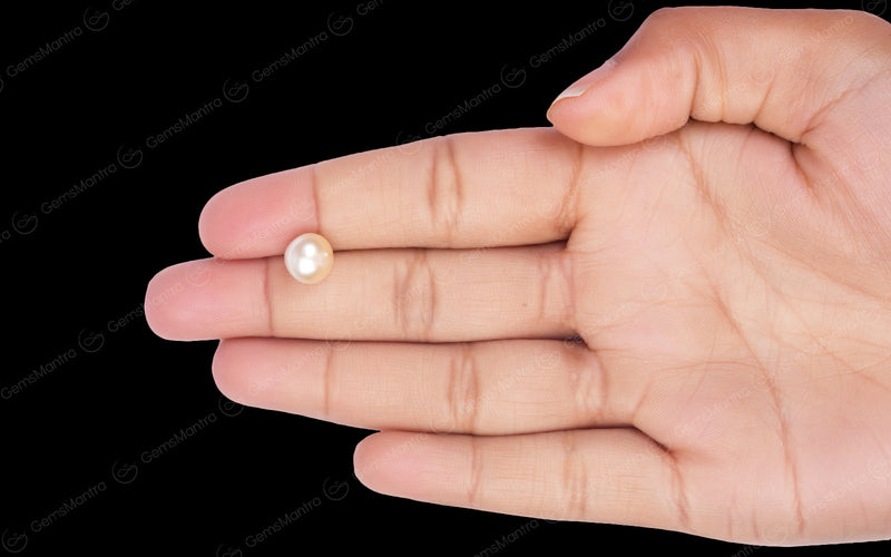 South Sea Pearl - 4.23 Carats