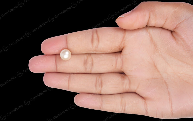 South Sea Pearl - 4.93 Carats