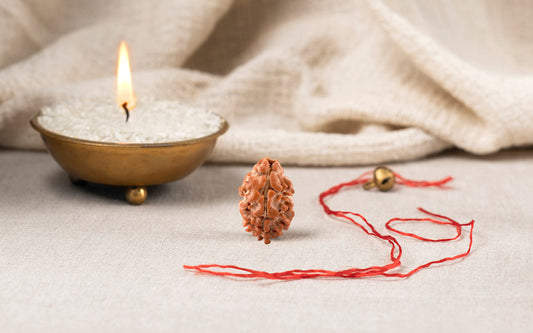 Natural 2 Mukhi Rudraksha (Nepali)