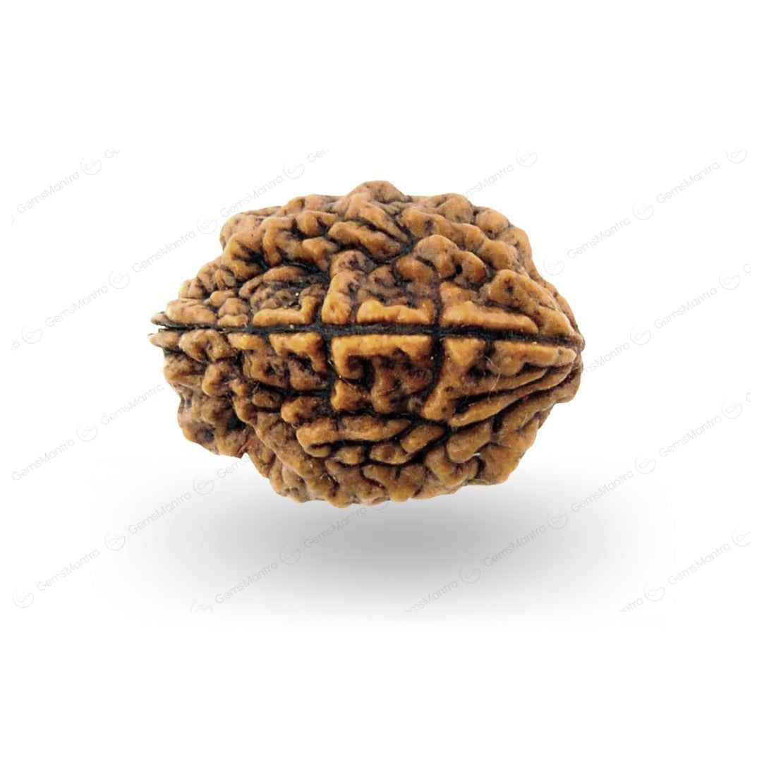 Missing Pattern Remedies Combo 9=5=1