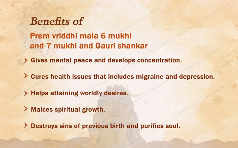 Prem Vriddhi Mala - 6 Mukhi, 7 Mukhi and Gauri Shankar Rudraksha (AB)
