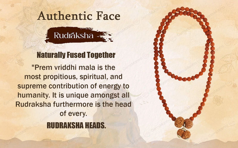 Prem Vriddhi Mala - 6 Mukhi, 7 Mukhi and Gauri Shankar Rudraksha (AB)