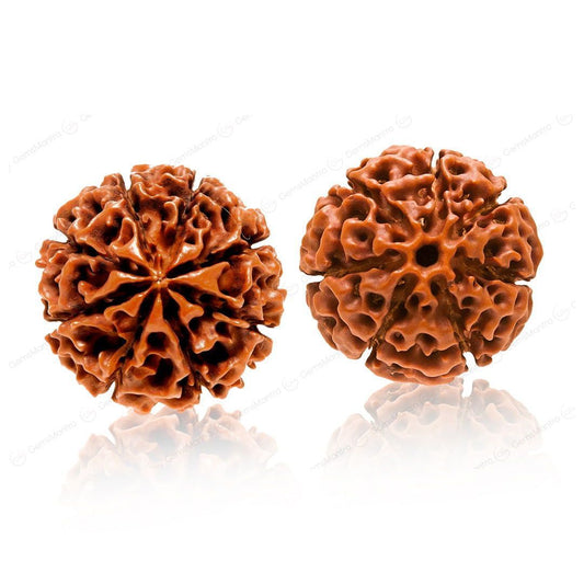 Shubh Samriddhi Rudraksha Combo