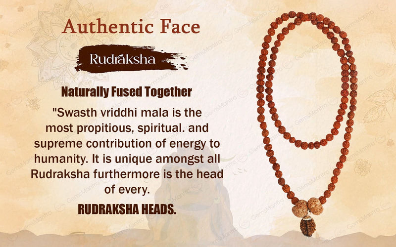 Swasth Vriddhi Mala - 7 Mukhi and 2 Mukhi Rudraksha