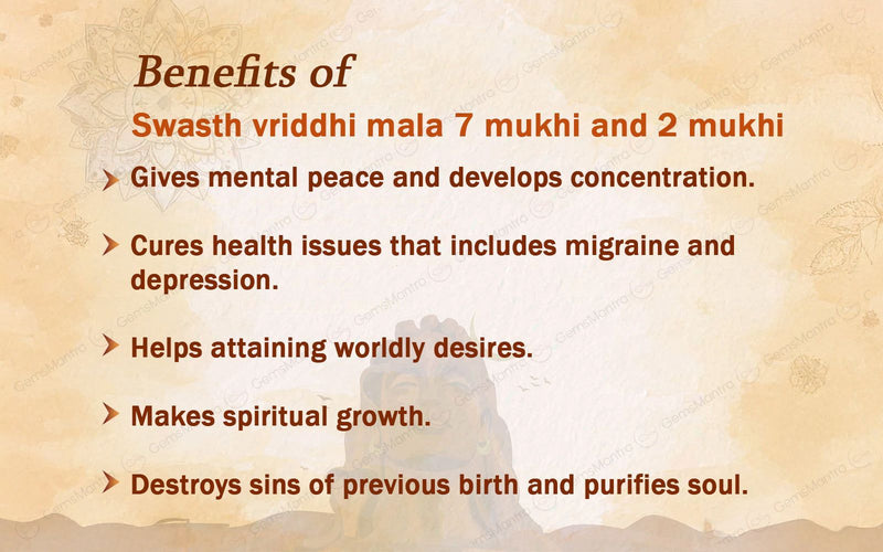 Swasth Vriddhi Mala - 7 Mukhi and 2 Mukhi Rudraksha