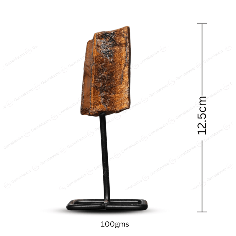 Tiger Eye Raw Stone Stand