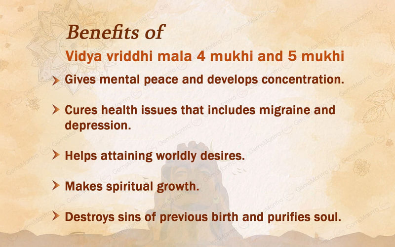 Vidya Vriddhi Mala - 4 Mukhi and 5 Mukhi Rudraksha
