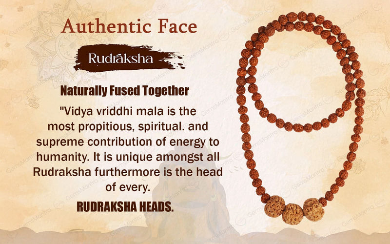 Vidya Vriddhi Mala - 4 Mukhi and 5 Mukhi Rudraksha