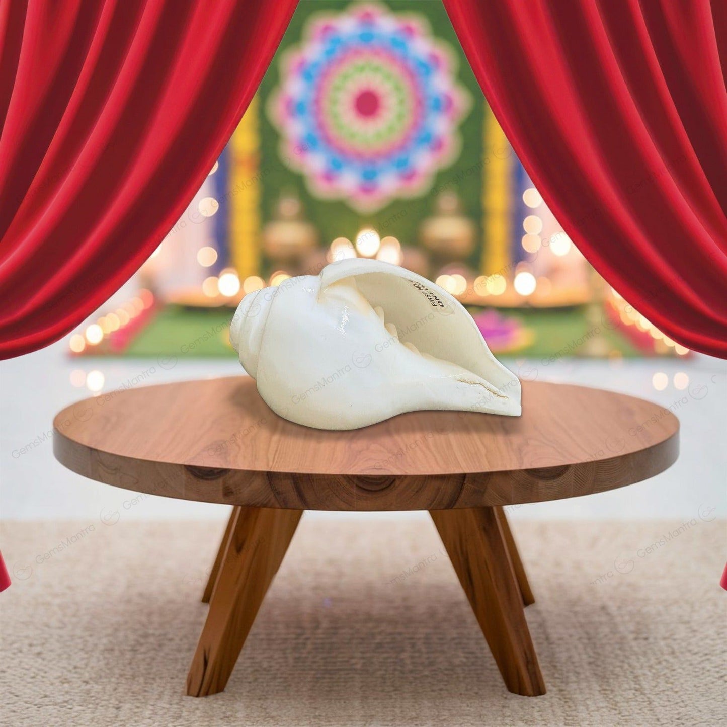 Shankh - The Devine Baynavarti or Vaamvarti Shankh - Variant 3